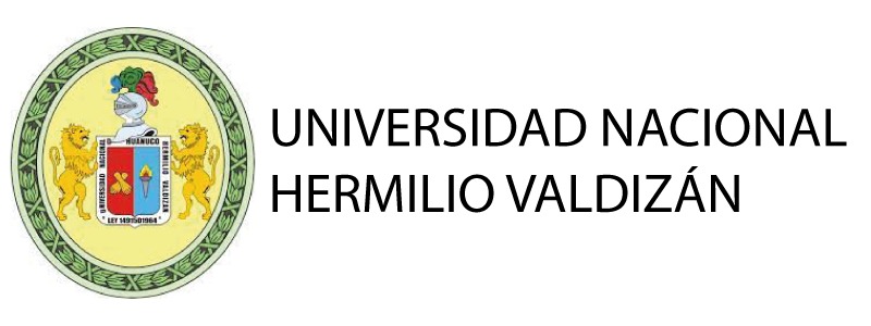 Universidad Hermilio Valdizán